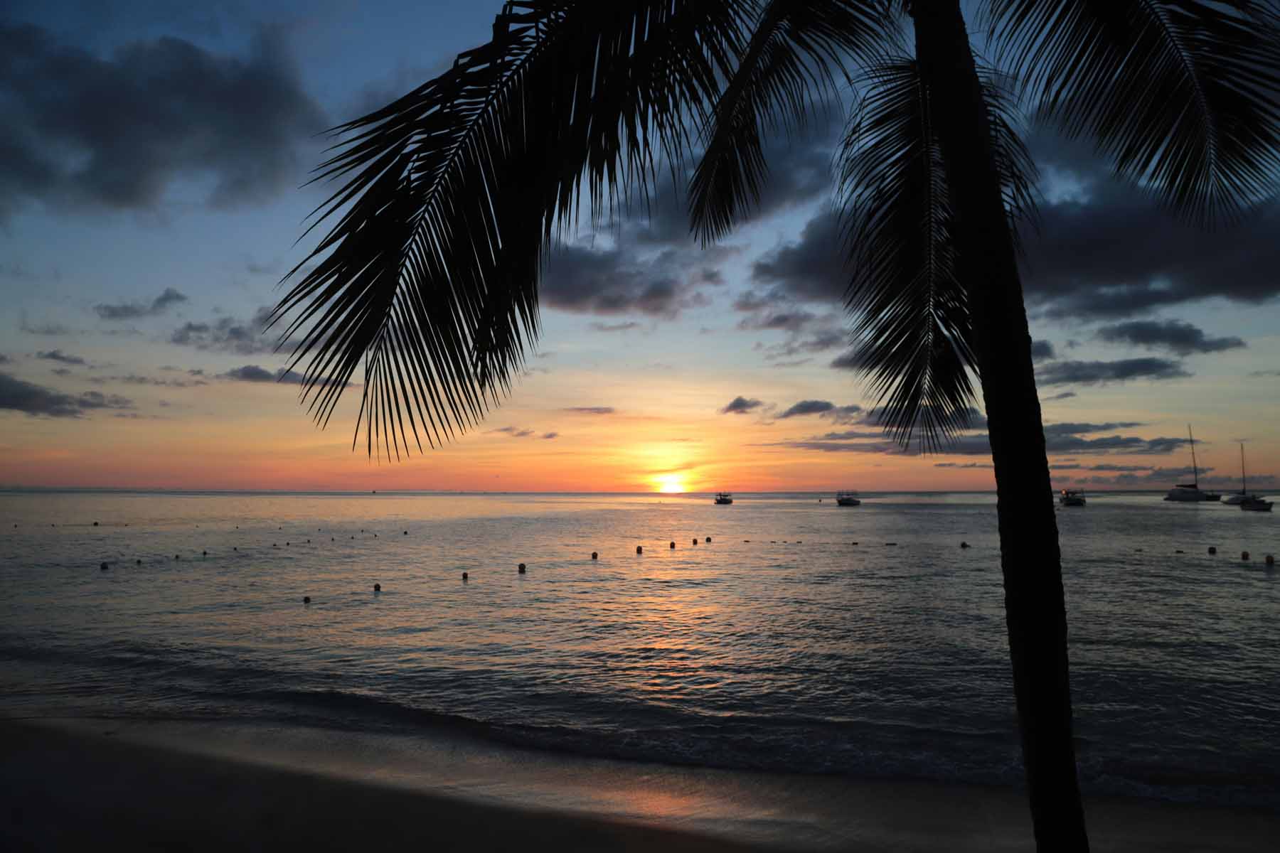 Día de Crucero en Barbados: Las 5 Mejores Excursiones en Tierra
